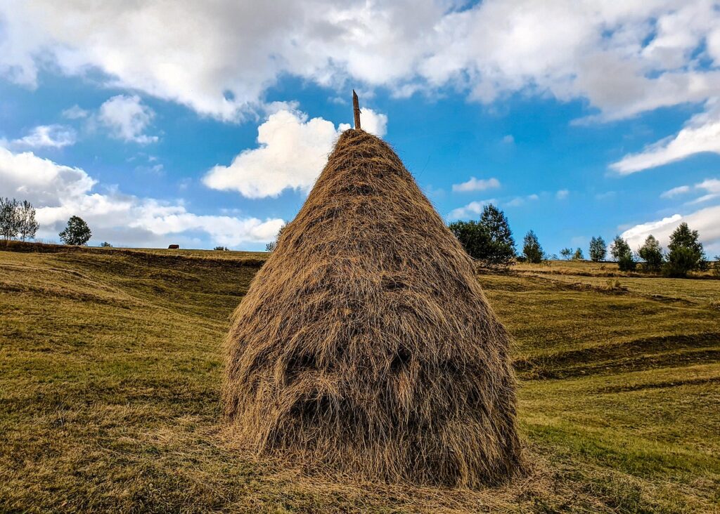 Großer Heuhaufen auf einer Wiese unter blauem Himmel.
